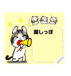 Lucky cat, key tail,kotaro（個別スタンプ：12）