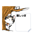 Lucky cat, key tail,kotaro（個別スタンプ：13）