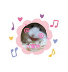 マロン＆雪スタンプ（個別スタンプ：4）