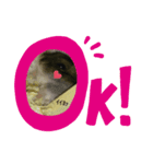 マロン＆雪スタンプ（個別スタンプ：7）
