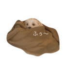 おれ、くう。（個別スタンプ：1）