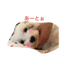 おれ、くう。（個別スタンプ：3）