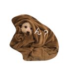 おれ、くう。（個別スタンプ：7）