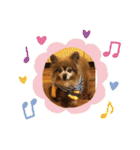 犬の表情豊かな日常スタンプ（個別スタンプ：18）