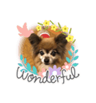 犬の表情豊かな日常スタンプ（個別スタンプ：29）