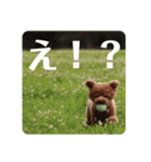 我が家のアイドルたち(ヴェルとセル)（個別スタンプ：5）