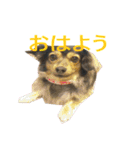 ななさんすたんぷ1（個別スタンプ：1）