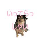 ななさんすたんぷ1（個別スタンプ：2）