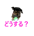 ななさんすたんぷ1（個別スタンプ：3）