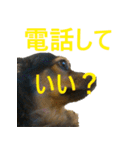 ななさんすたんぷ1（個別スタンプ：4）