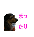 ななさんすたんぷ1（個別スタンプ：5）