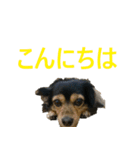 ななさんすたんぷ1（個別スタンプ：7）