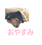 ななさんすたんぷ1（個別スタンプ：8）