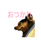 ななさんすたんぷ1（個別スタンプ：15）