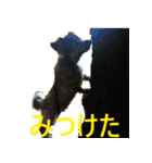 ななさんすたんぷ1（個別スタンプ：19）