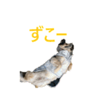 ななさんすたんぷ1（個別スタンプ：22）