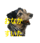 ななさんすたんぷ1（個別スタンプ：31）