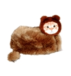ねこのねこーん(vivid)（個別スタンプ：7）