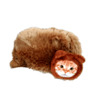 ねこのねこーん(vivid)（個別スタンプ：8）