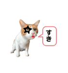 ポン太のスタンプ第3弾出来ました（個別スタンプ：27）
