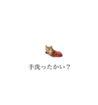柴犬ユッズ7（個別スタンプ：4）