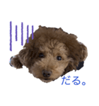 アロンとサナの生活ver.3（個別スタンプ：1）