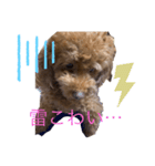 アロンとサナの生活ver.3（個別スタンプ：2）