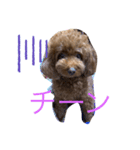 アロンとサナの生活ver.3（個別スタンプ：3）