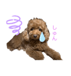 アロンとサナの生活ver.3（個別スタンプ：6）
