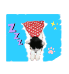 misamisaスタンプ1（個別スタンプ：7）