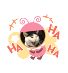 misamisaスタンプ1（個別スタンプ：13）