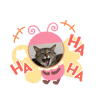misamisaスタンプ1（個別スタンプ：14）