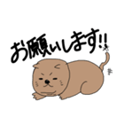 糖質制限アニマル（個別スタンプ：5）