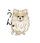 うちのいぬのやつ（個別スタンプ：2）