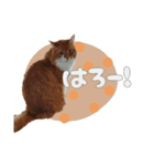べるとてと（個別スタンプ：2）