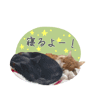 べるとてと（個別スタンプ：4）