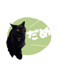 べるとてと（個別スタンプ：7）