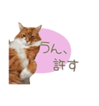 べるとてと（個別スタンプ：11）