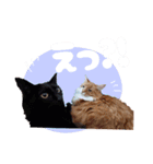 べるとてと（個別スタンプ：12）