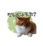 べるとてと（個別スタンプ：15）
