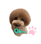 Mintooooo（個別スタンプ：2）