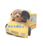 Mintooooo（個別スタンプ：3）