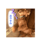 Mintooooo（個別スタンプ：5）