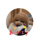Mintooooo（個別スタンプ：8）