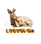 2ボーイズ（個別スタンプ：24）
