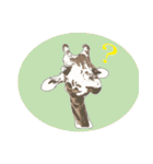 キリンジャングル（個別スタンプ：3）
