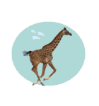 キリンジャングル（個別スタンプ：6）