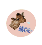 キリンジャングル（個別スタンプ：8）