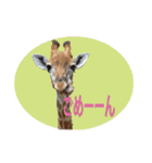 キリンジャングル（個別スタンプ：16）