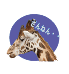 キリンジャングル（個別スタンプ：25）